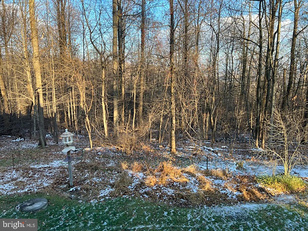 80 Beckers Grove photo 25