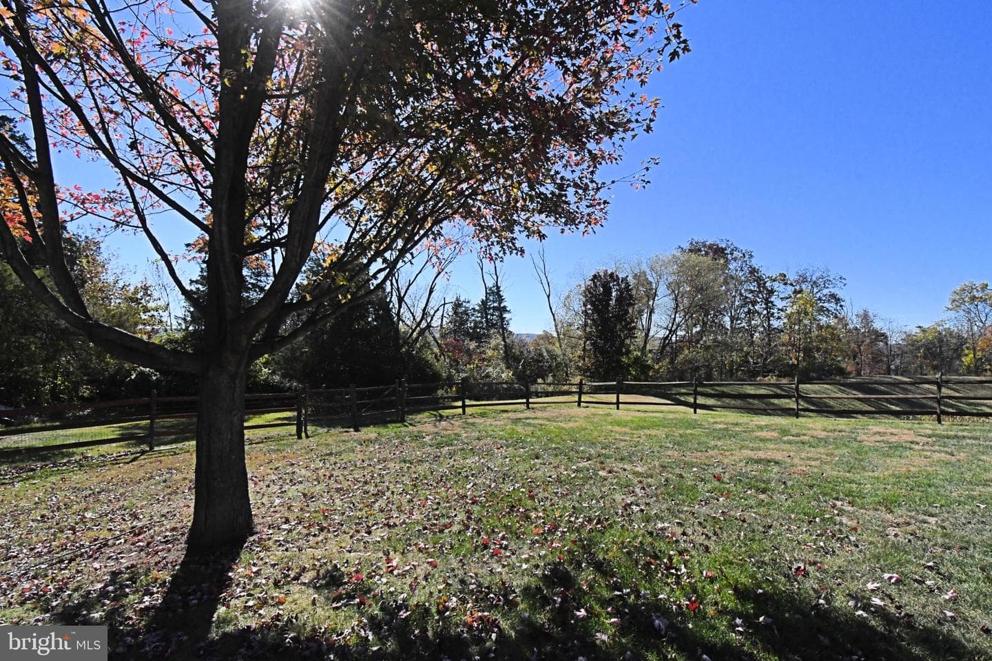 306 Kingston Drive photo 63