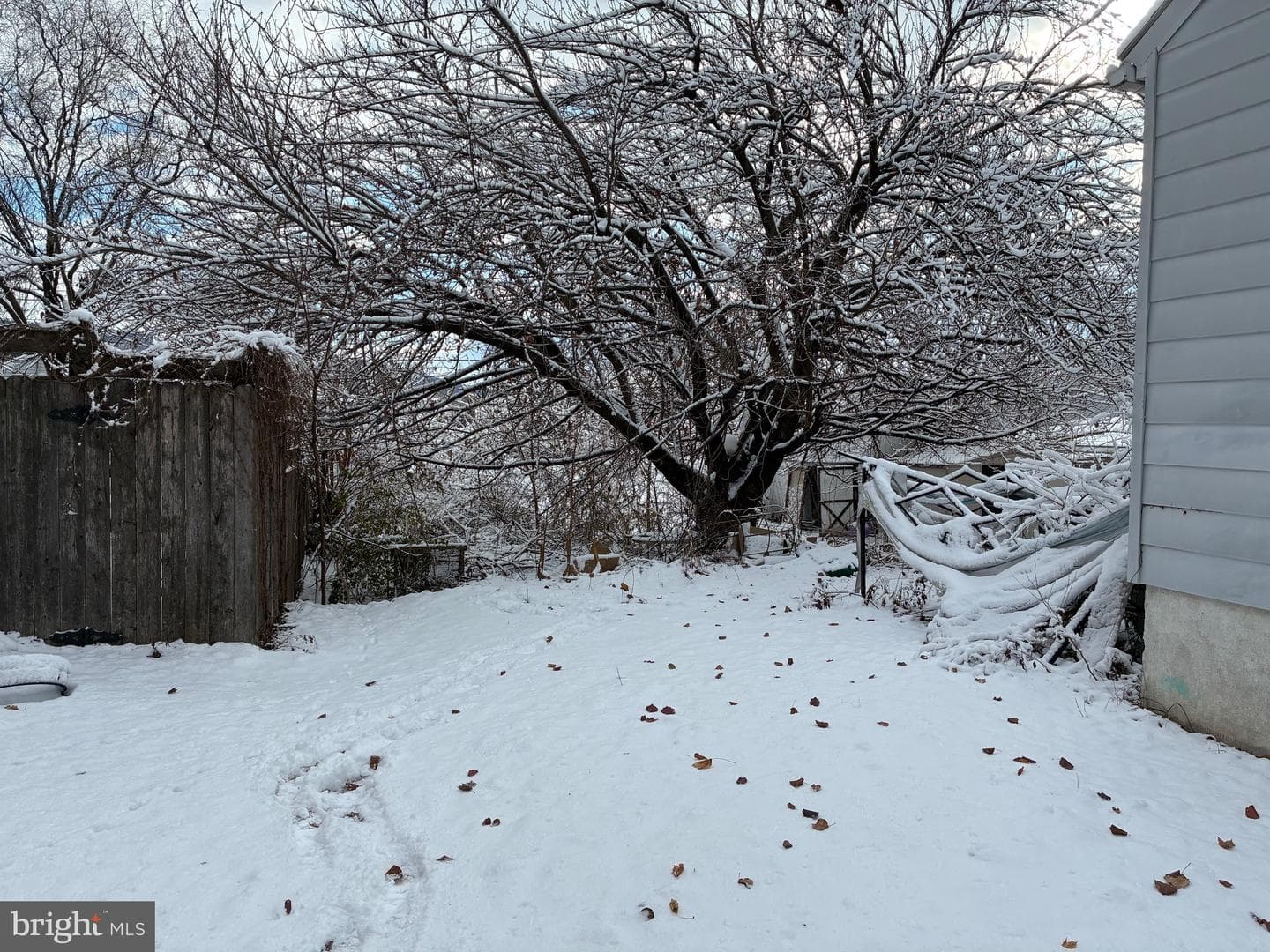 22 Monroe Street photo 28