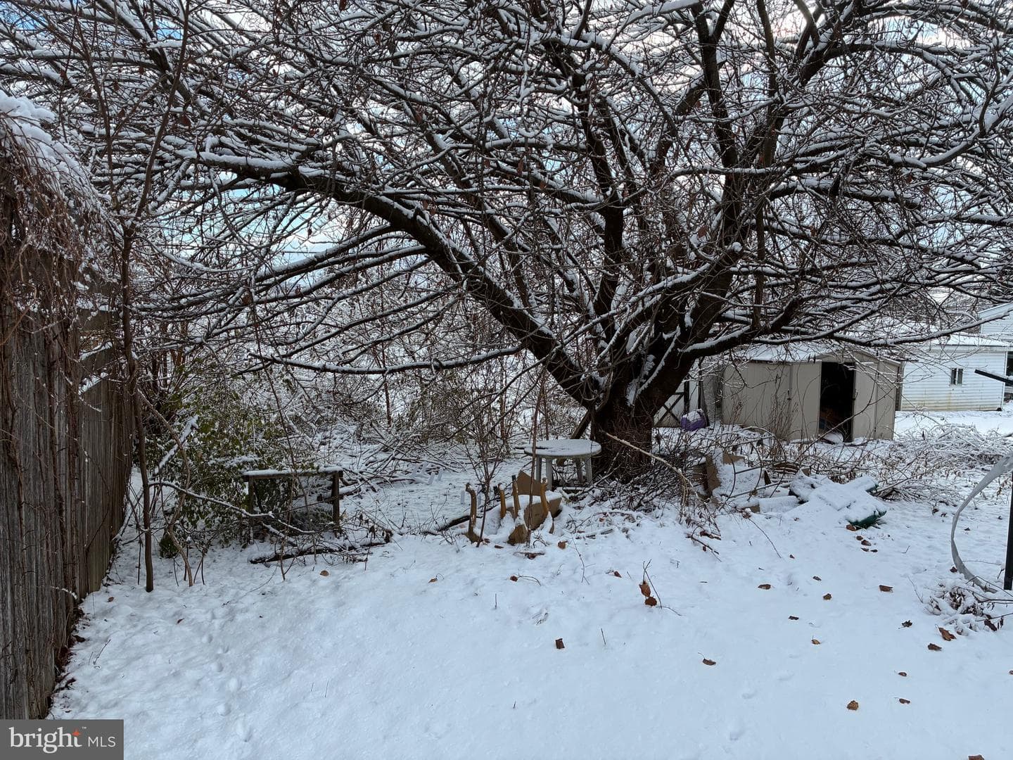 22 Monroe Street photo 34
