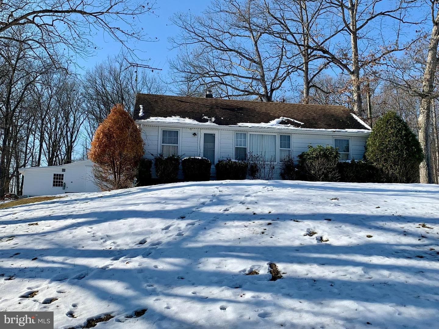 441 Pine Road photo 1