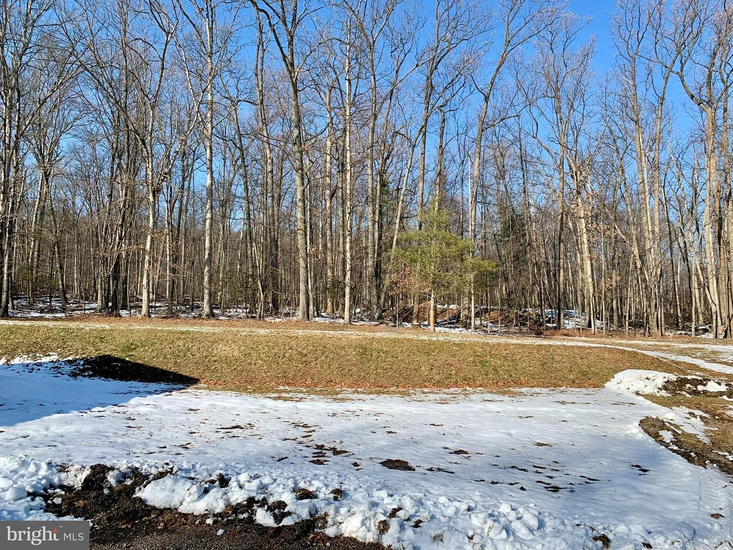 441 Pine Road photo 28