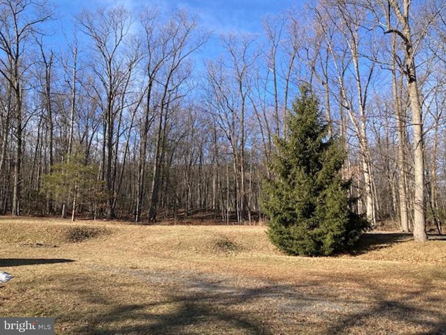 441 Pine Road photo 29