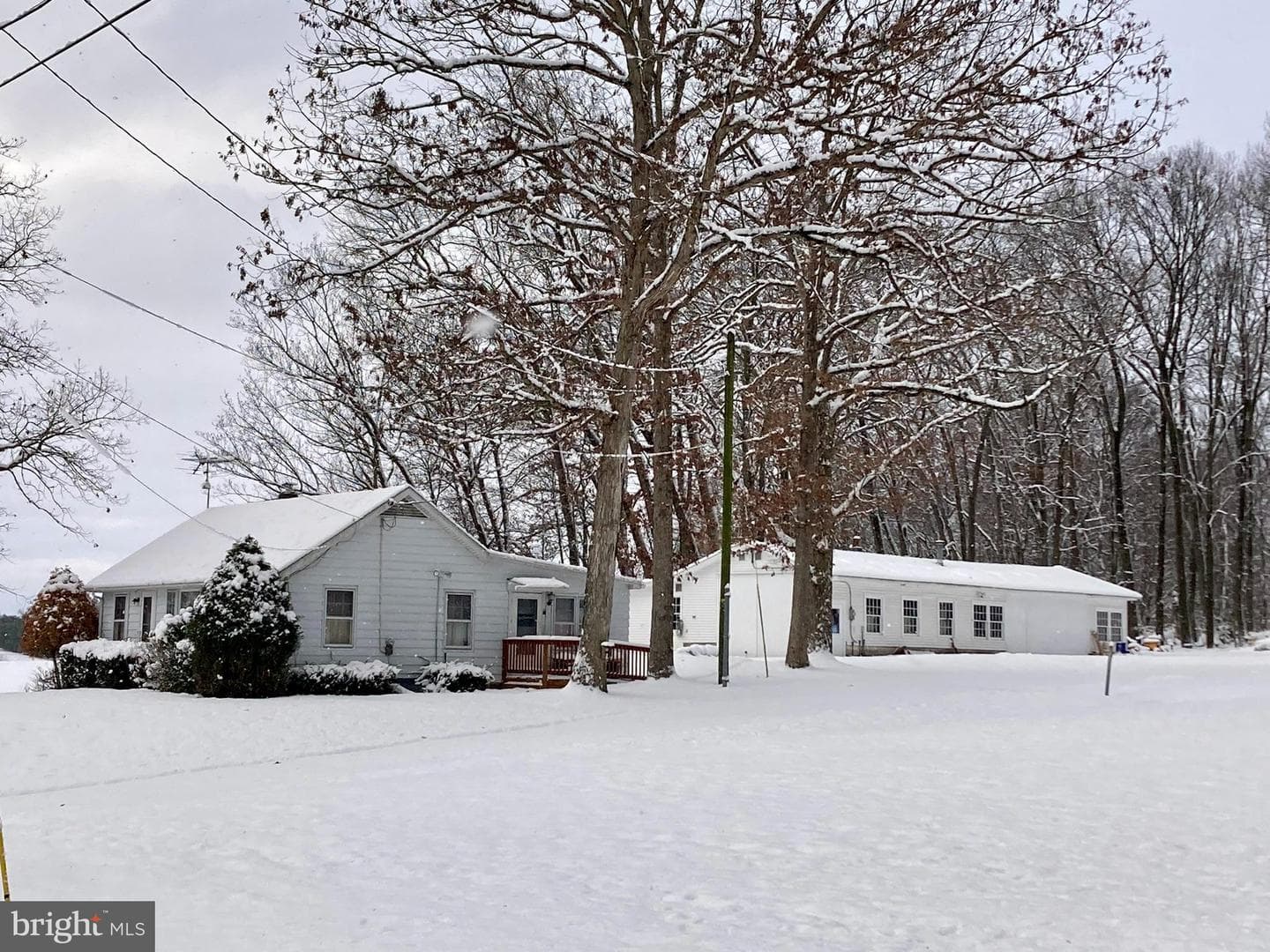 441 Pine Road photo 3