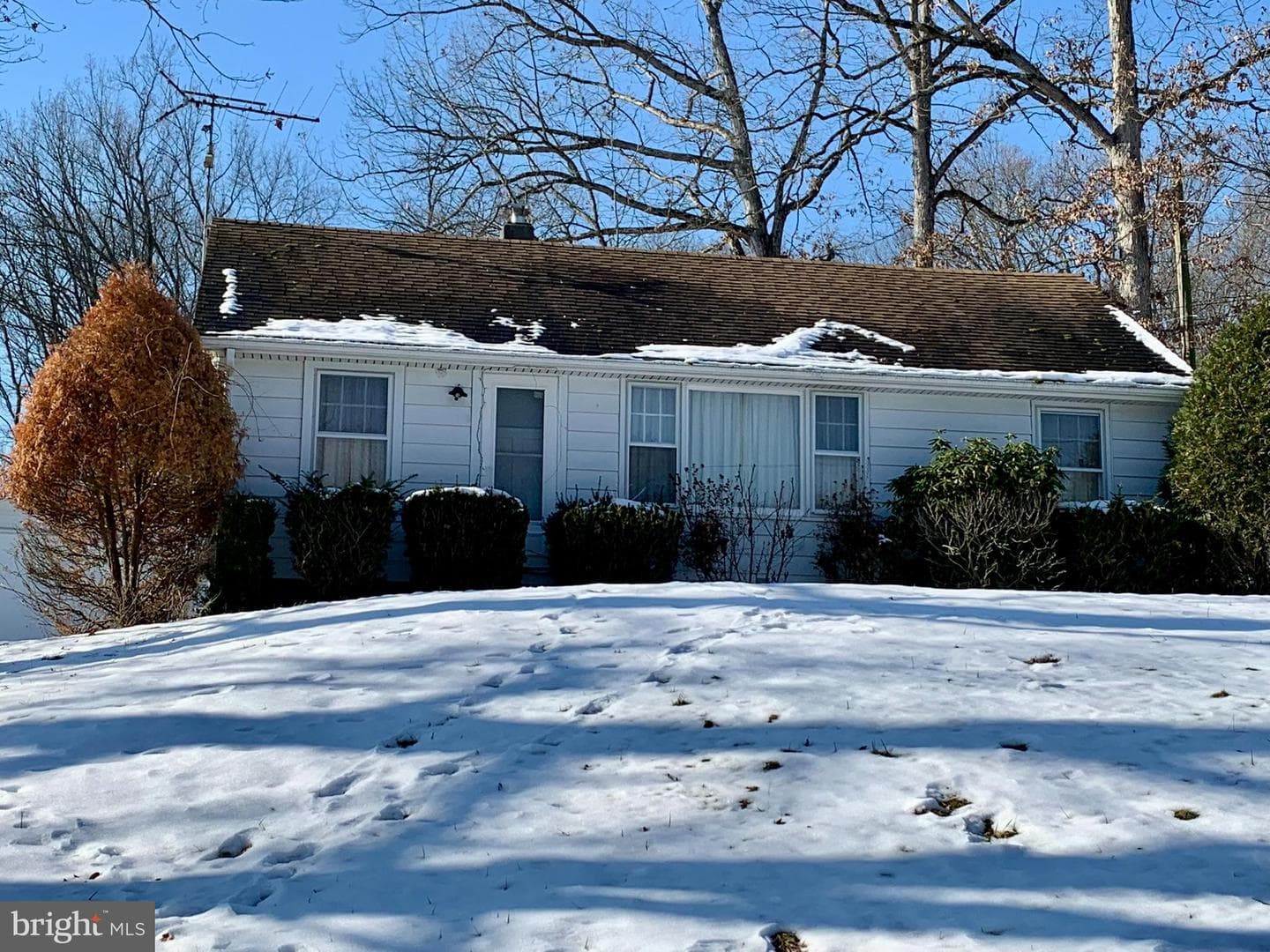 441 Pine Road photo 35