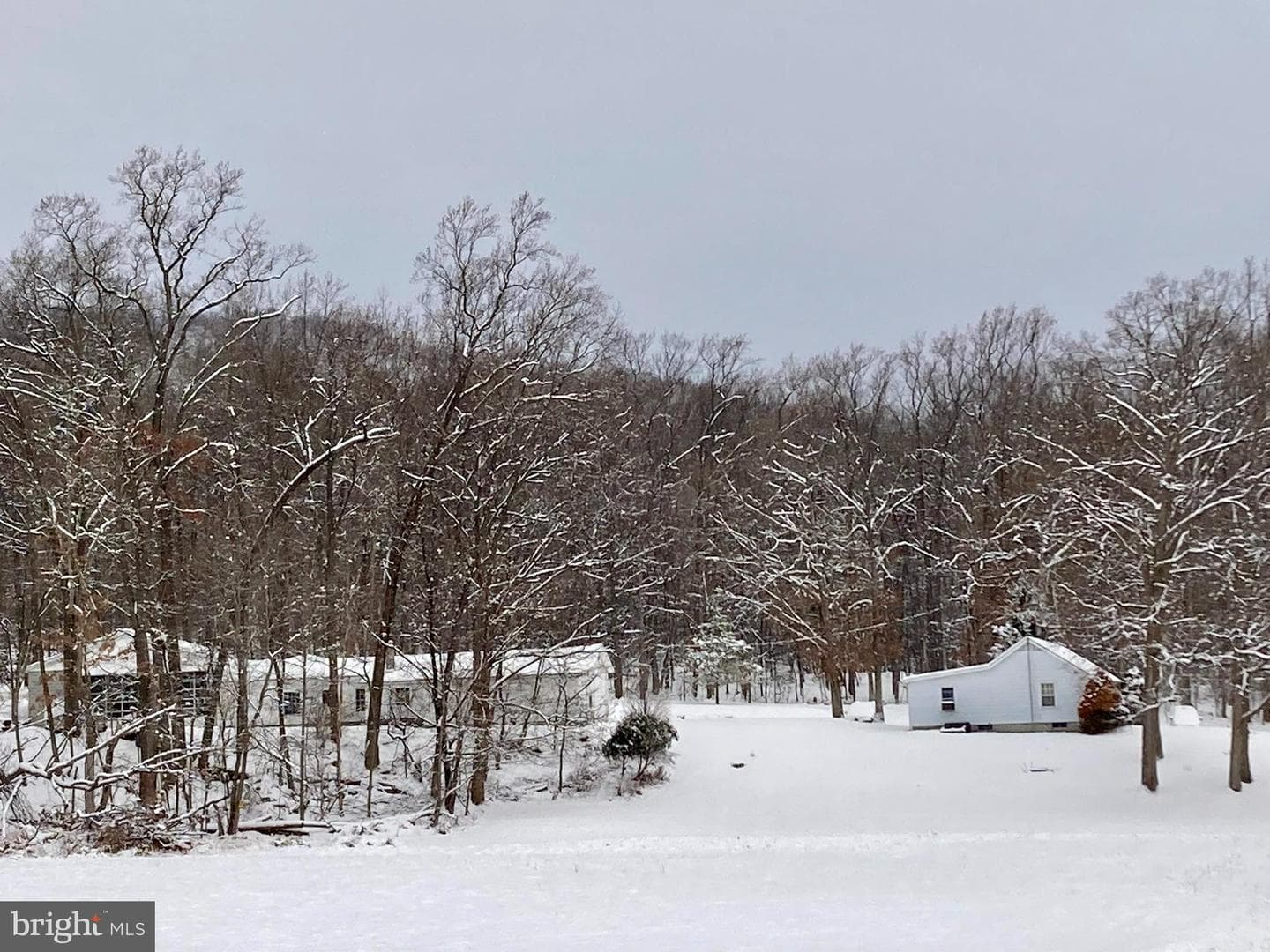 441 Pine Road photo 36