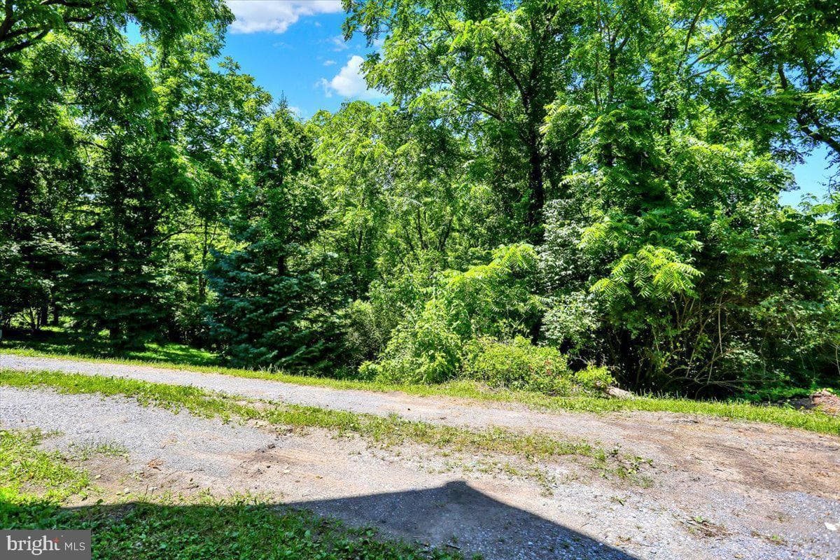 790 River Road photo 23