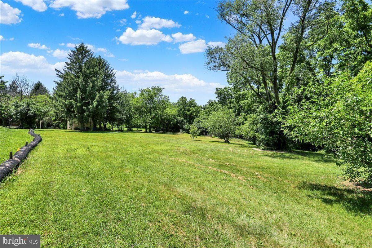 790 River Road photo 3