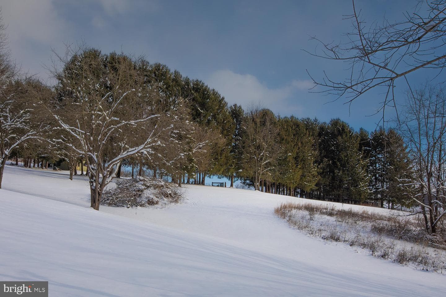 220 Dietrich Road photo 10