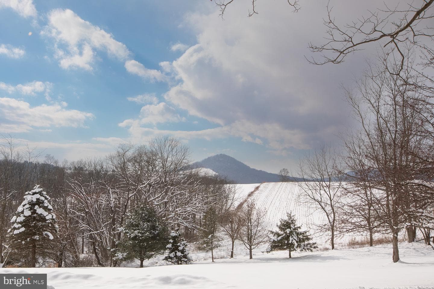 220 Dietrich Road photo 6