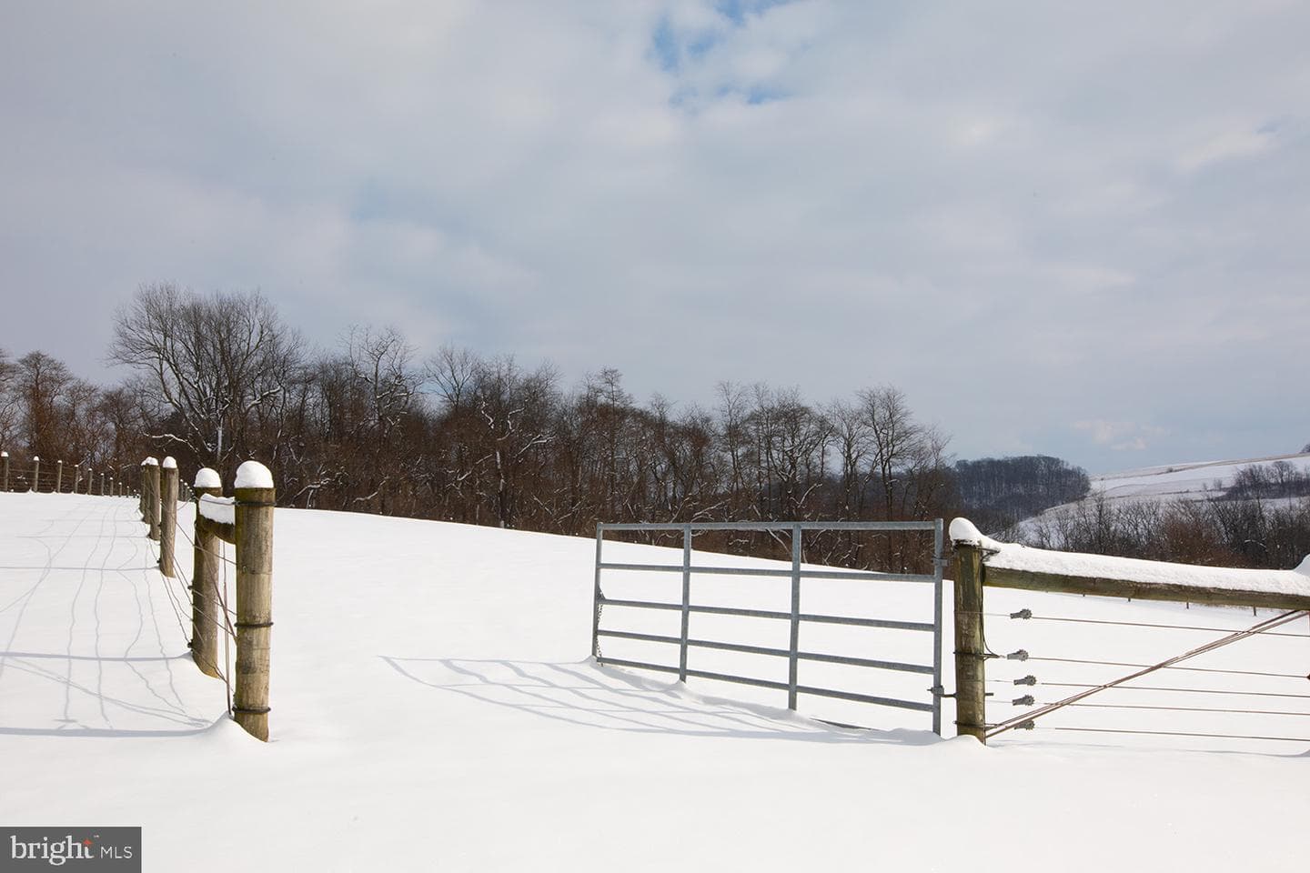 220 Dietrich Road photo 67