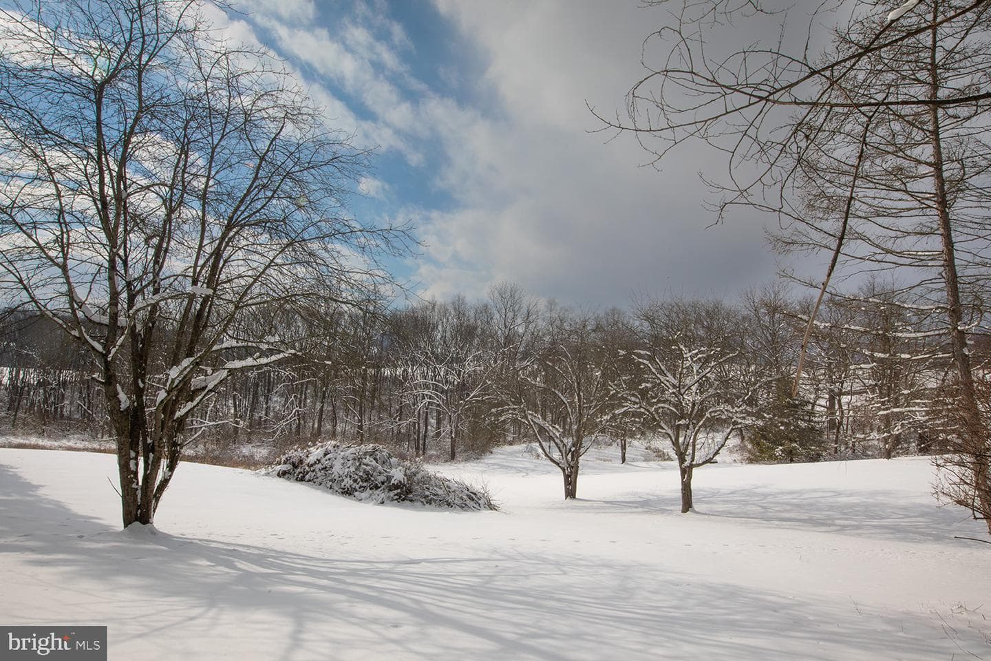 220 Dietrich Road photo 78