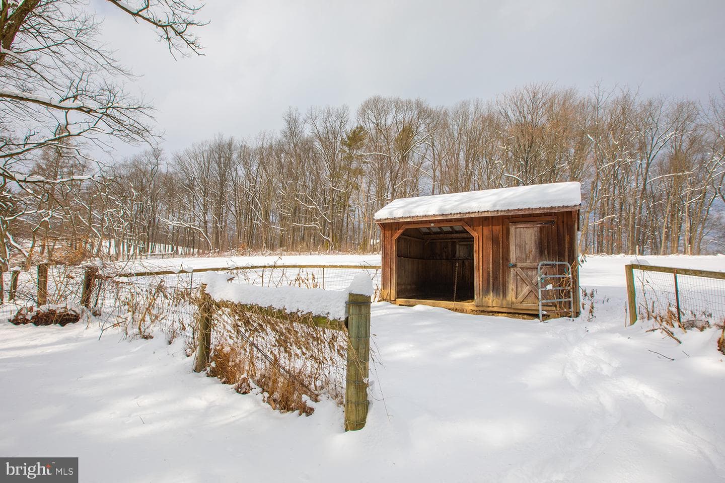 220 Dietrich Road photo 81