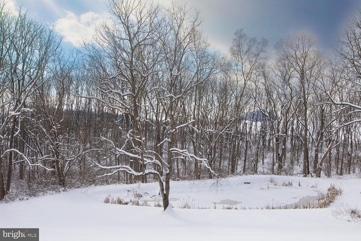 220 Dietrich Road photo 9