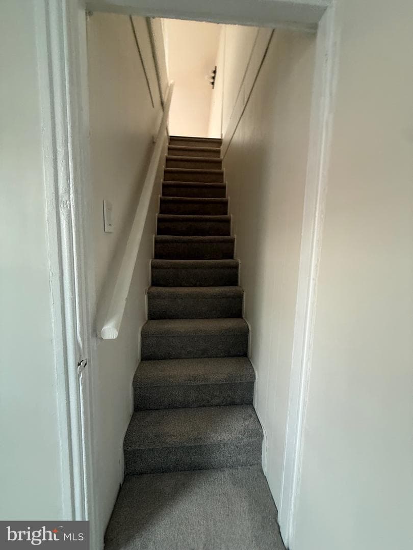 542 Moss Street photo 15