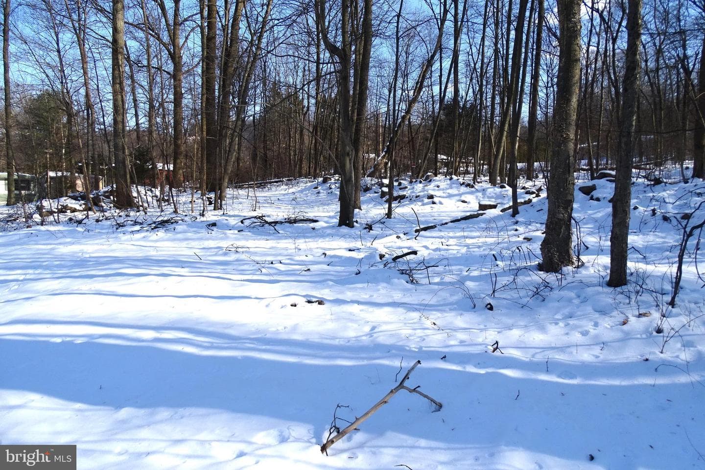 329 Longview Road photo 5