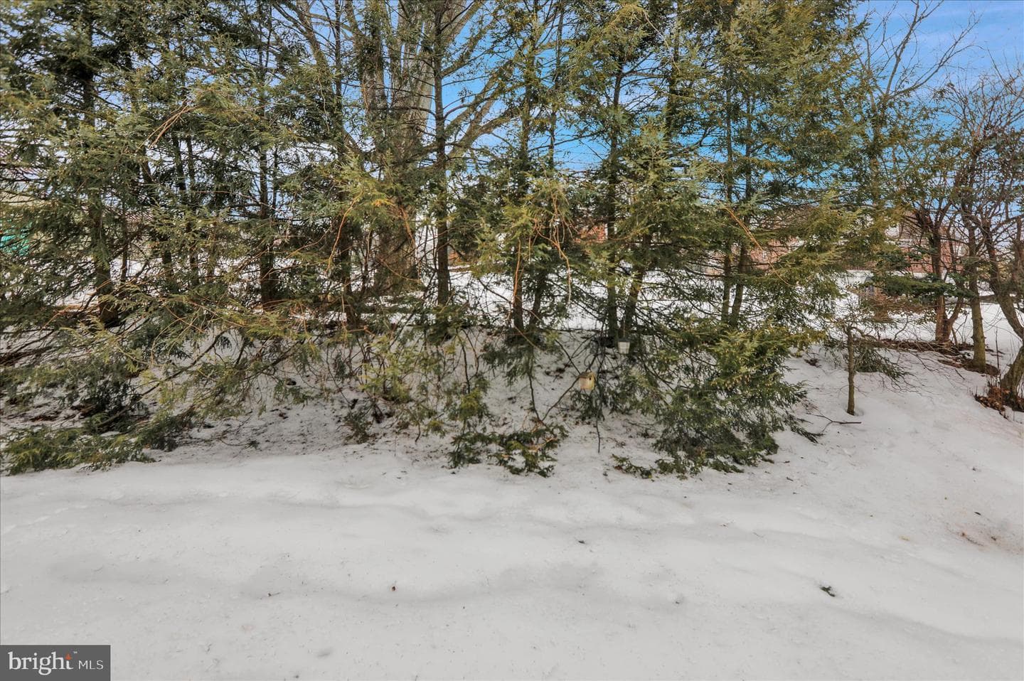 3232 Garfield Avenue photo 19