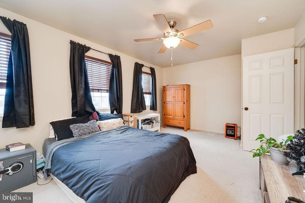 71 Winchester Court photo 24