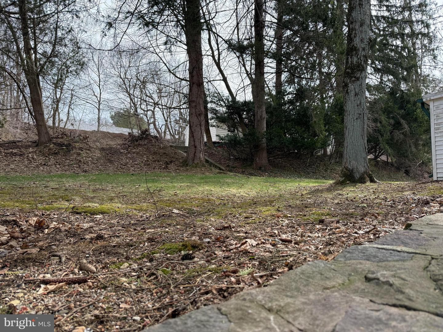 108 Poplar Road photo 29