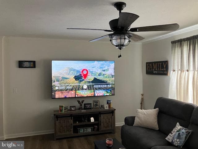113 Mountain Village Drive photo 4