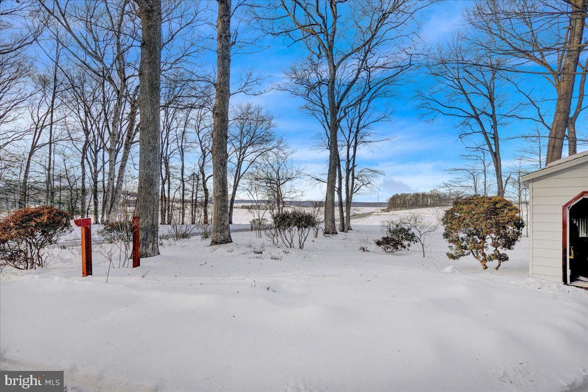 307 Donat Road photo 29