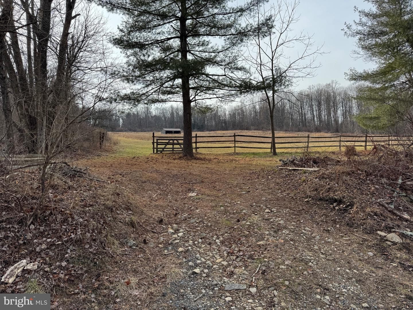 142 Township Road photo 7