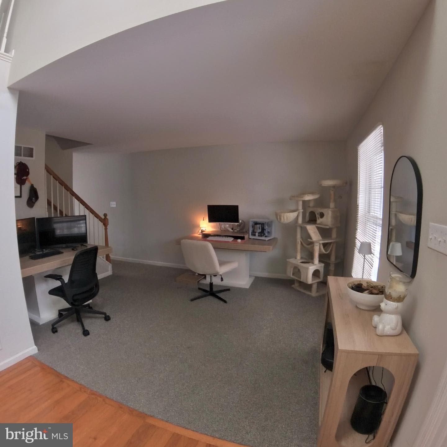 20 Mellowbrook Drive photo 8