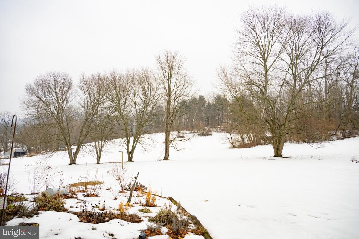 47 Weavertown Lane photo 30
