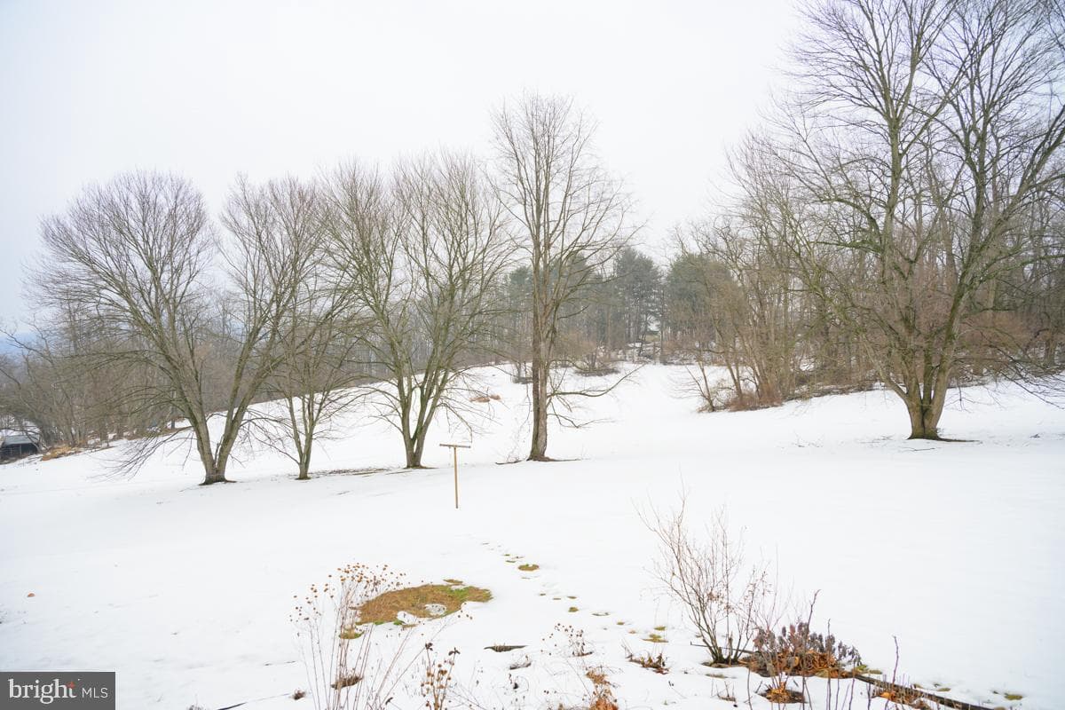 47 Weavertown Lane photo 33