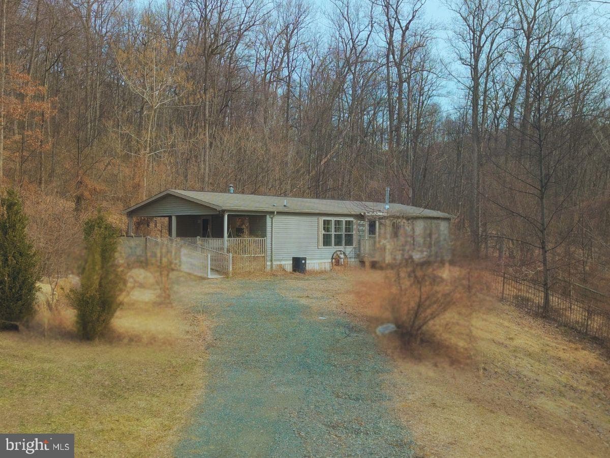41 Spring Road photo 29
