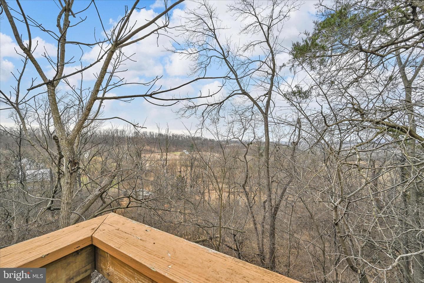 960 Fabers Road photo 47