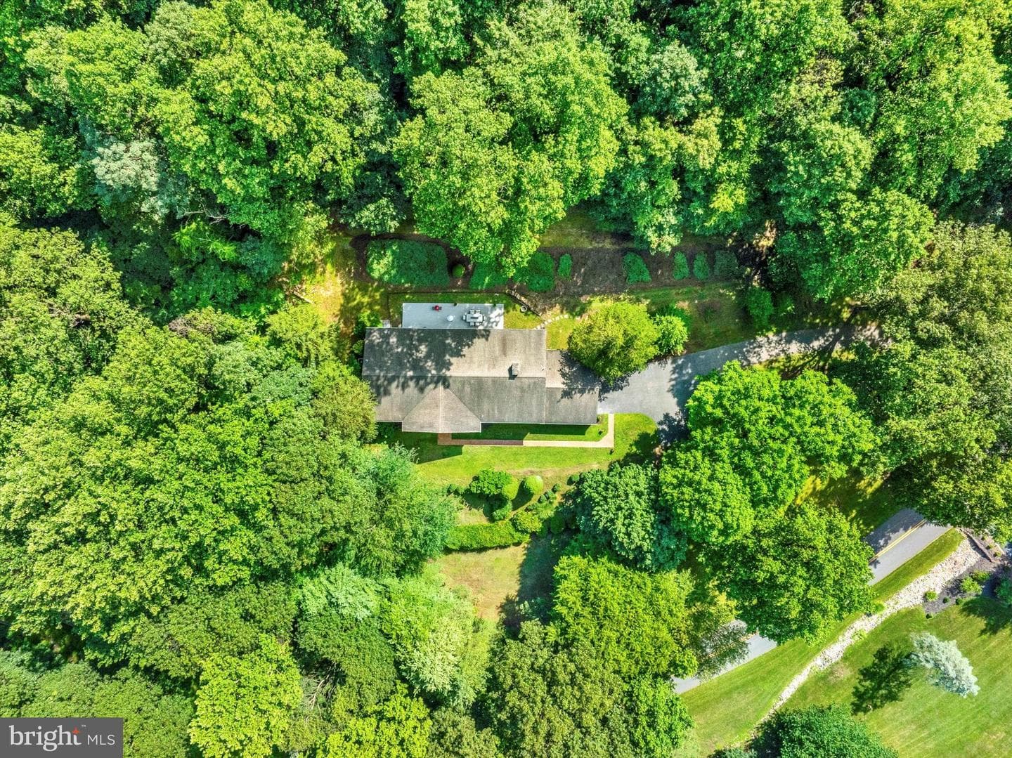 49 Fawn Drive photo 8