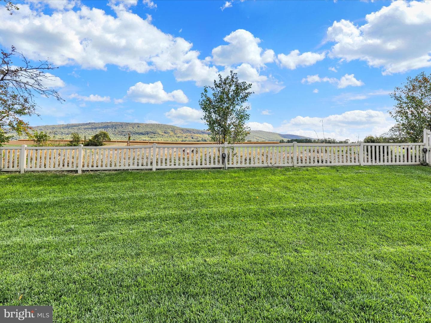 143 Rosebush Court photo 20