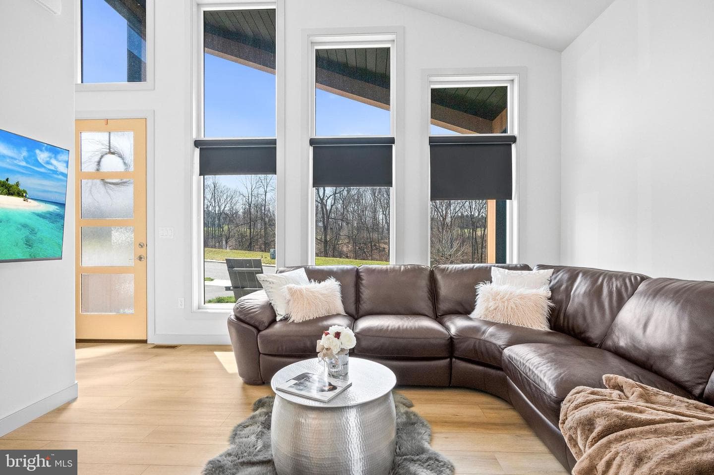 59 Clover Drive photo 12
