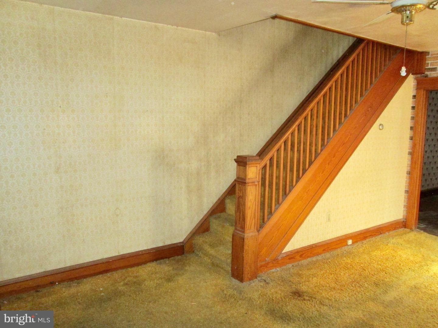 431 Raymond Street photo 3
