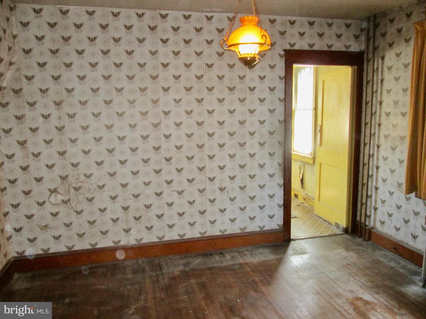 431 Raymond Street photo 7