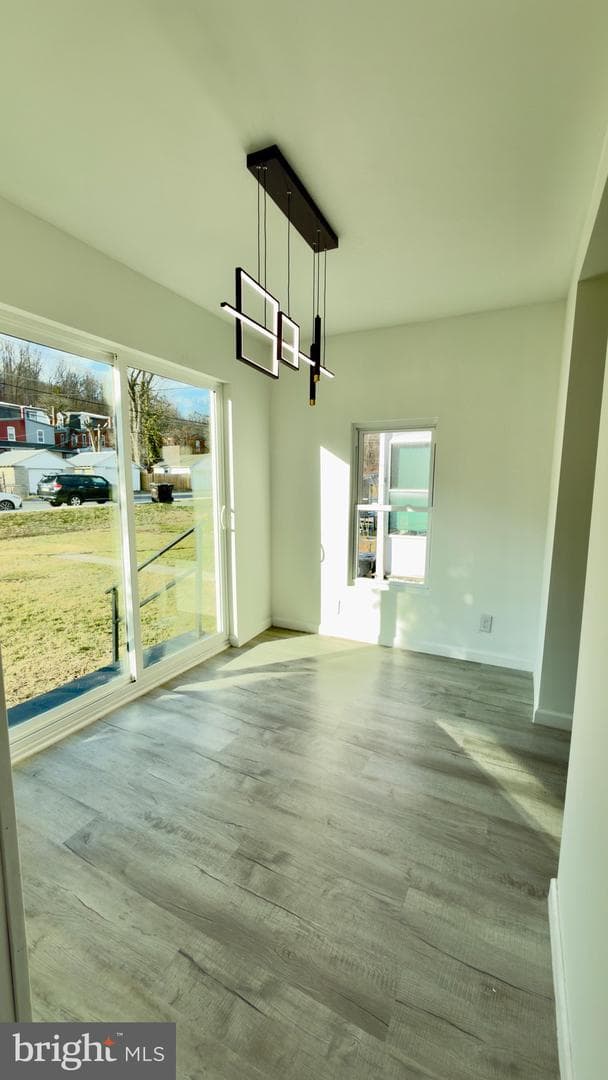 24 Marshall Avenue photo 21