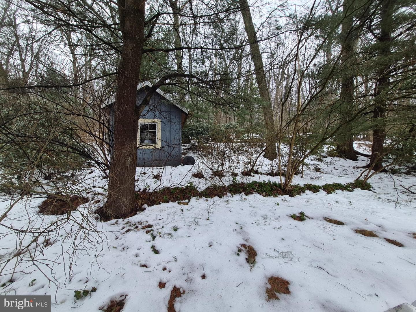 2446 Grandview Avenue photo 20