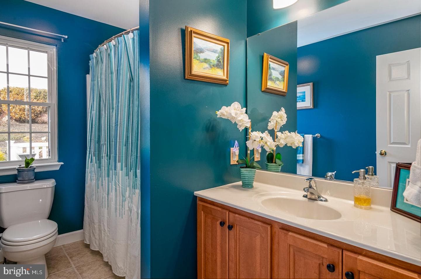 382 Tilden Road photo 23