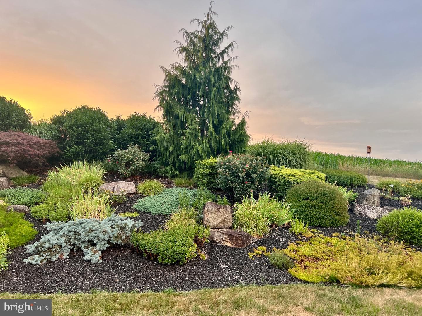 382 Tilden Road photo 32