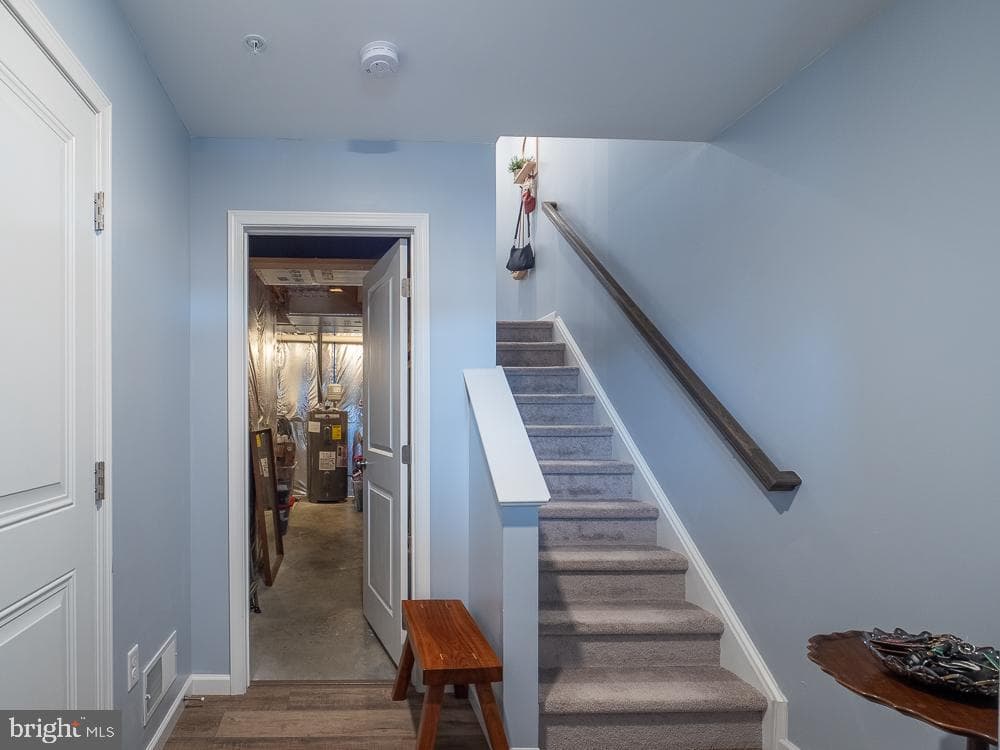 3 Hawley Court photo 16