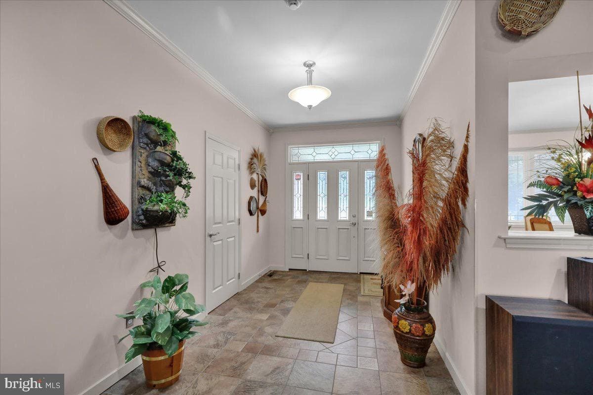 441 Birch Hill Road photo 11