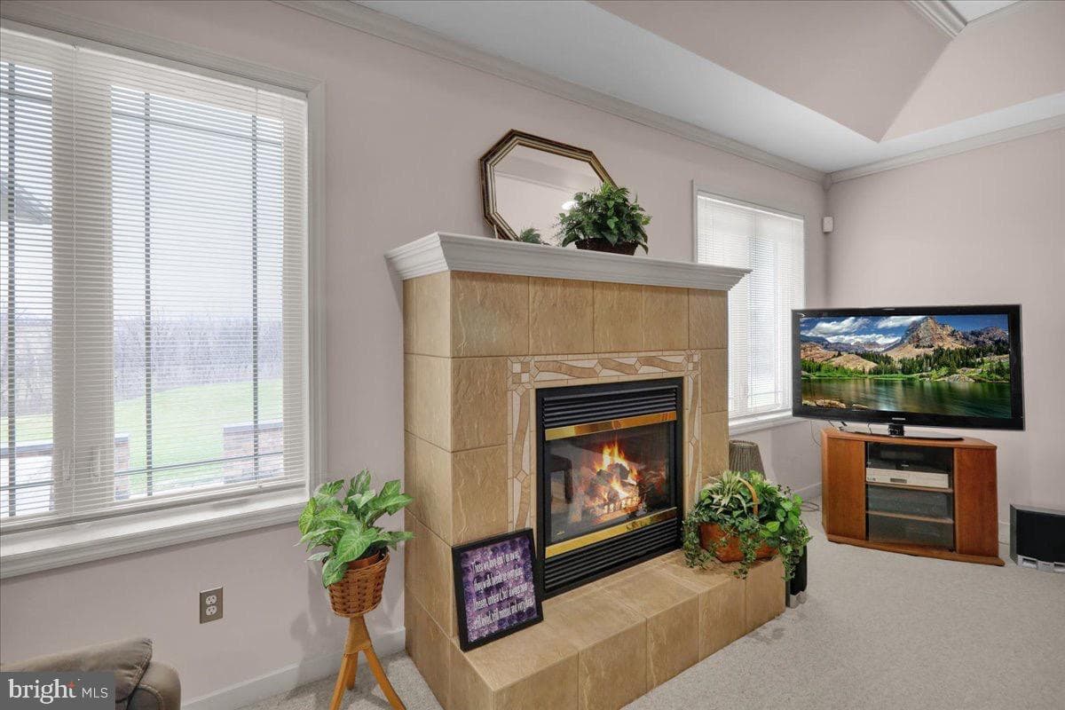 441 Birch Hill Road photo 14