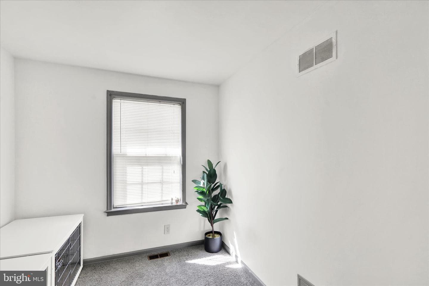 58 Horseshoe Drive photo 14