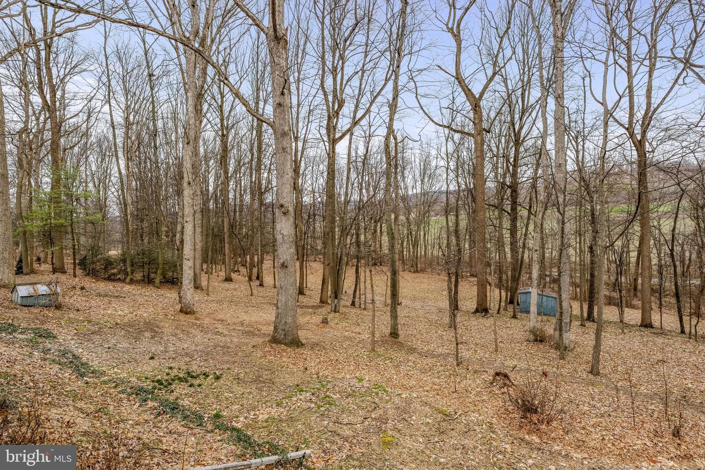1419 Fritztown Road photo 10