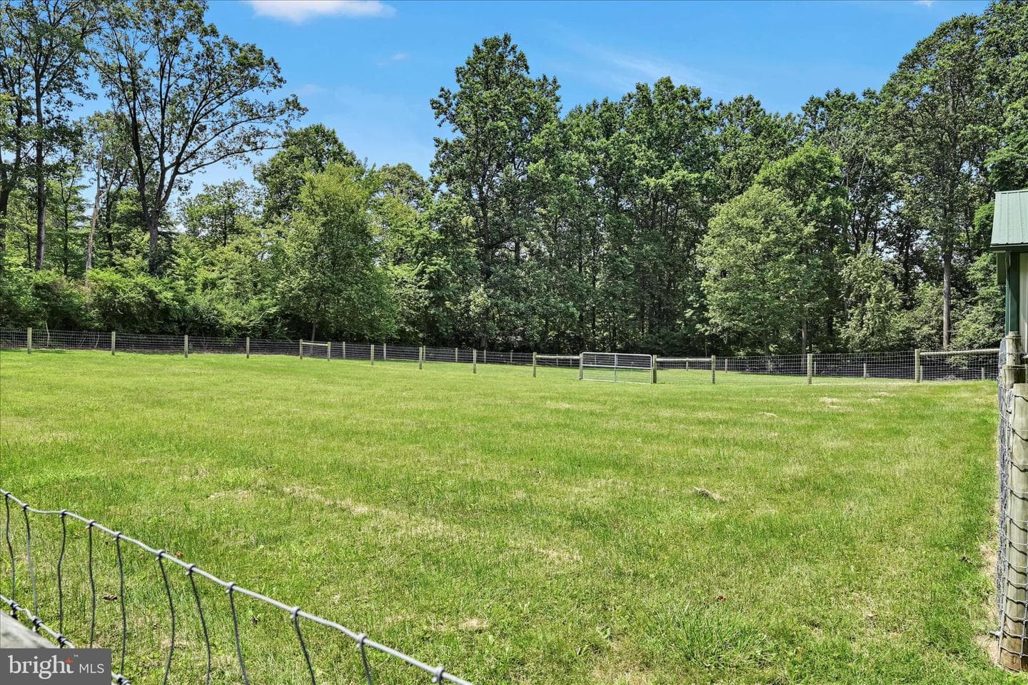569 Texter Mountain Road photo 71