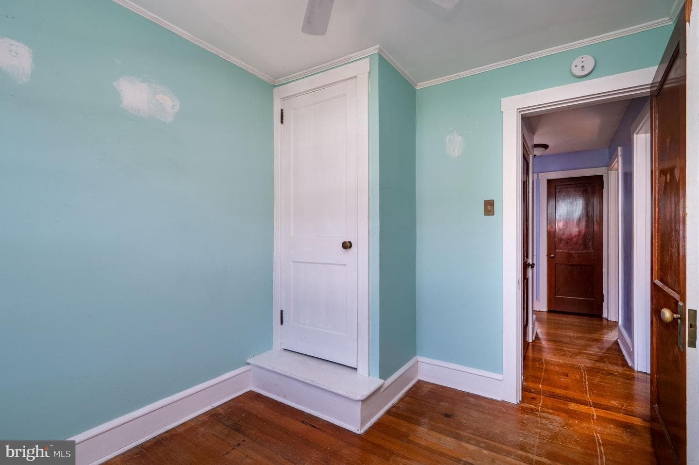 7 Marshall Avenue photo 27