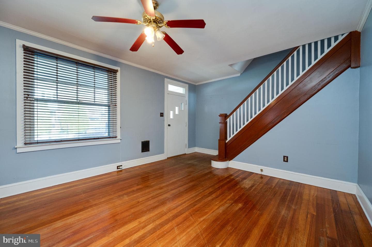 7 Marshall Avenue photo 6