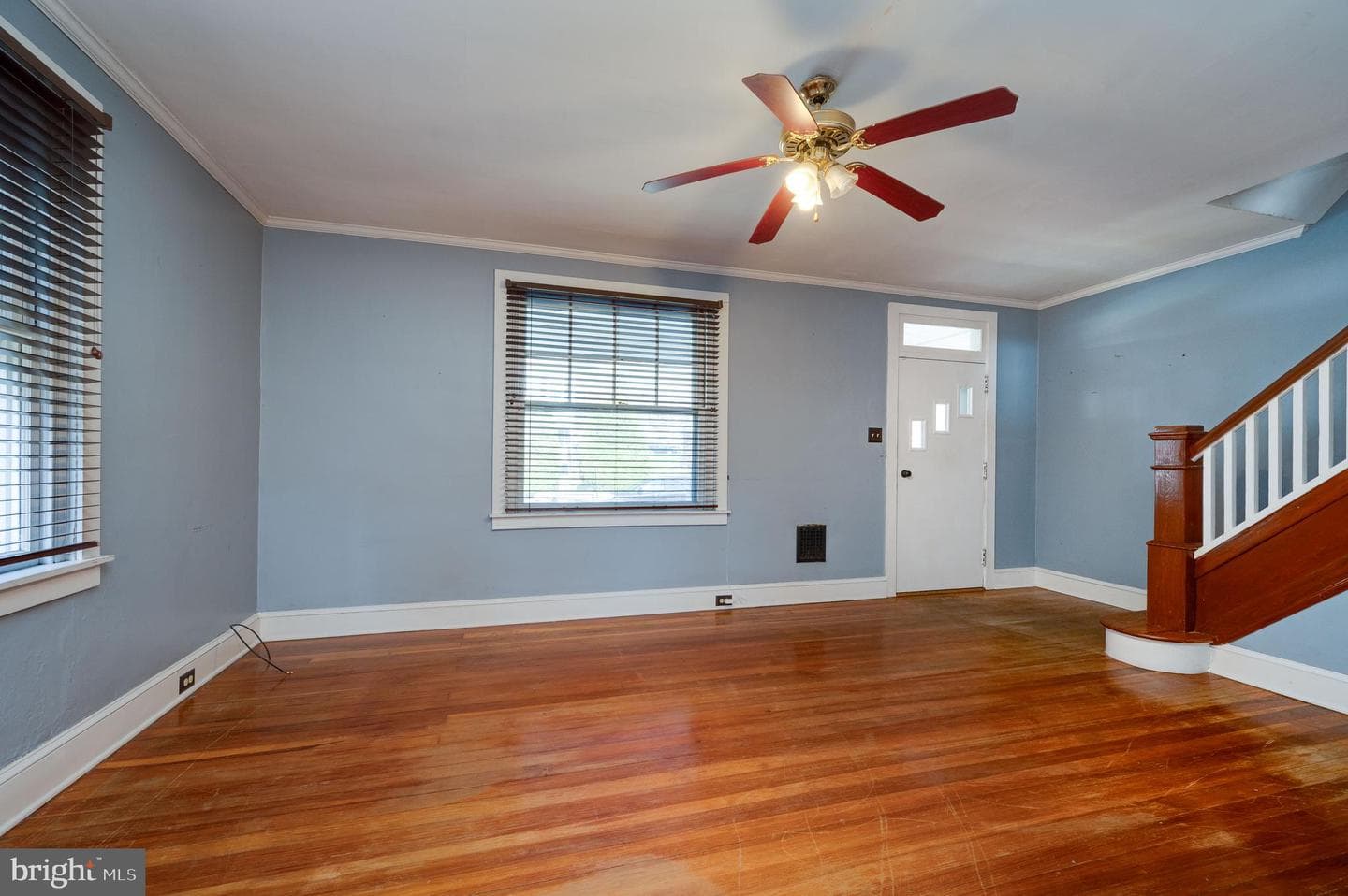 7 Marshall Avenue photo 7