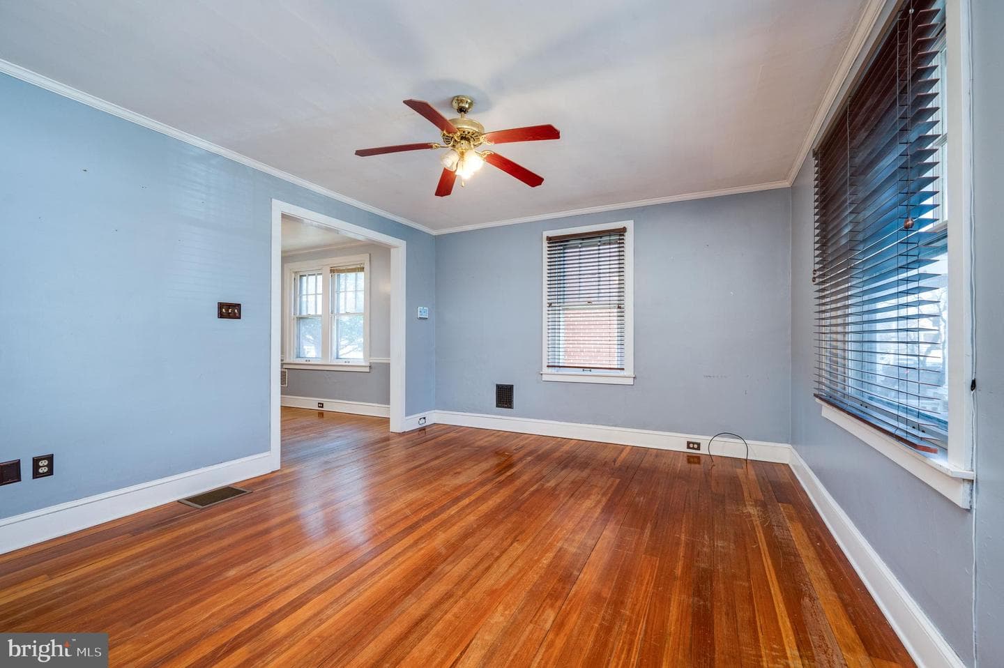 7 Marshall Avenue photo 8